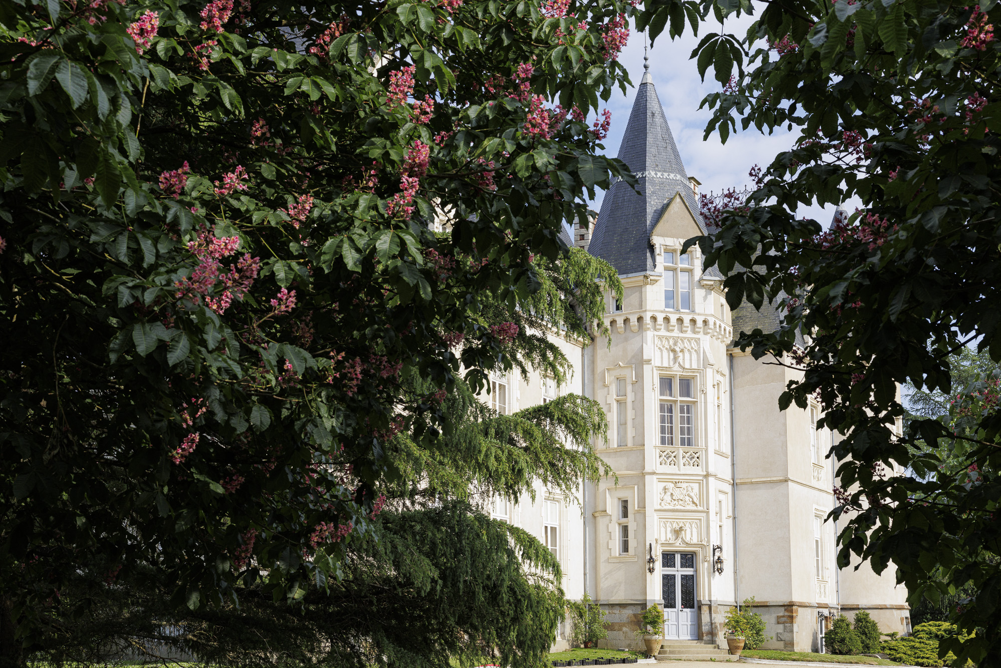 Chateau-des-Tesnieres